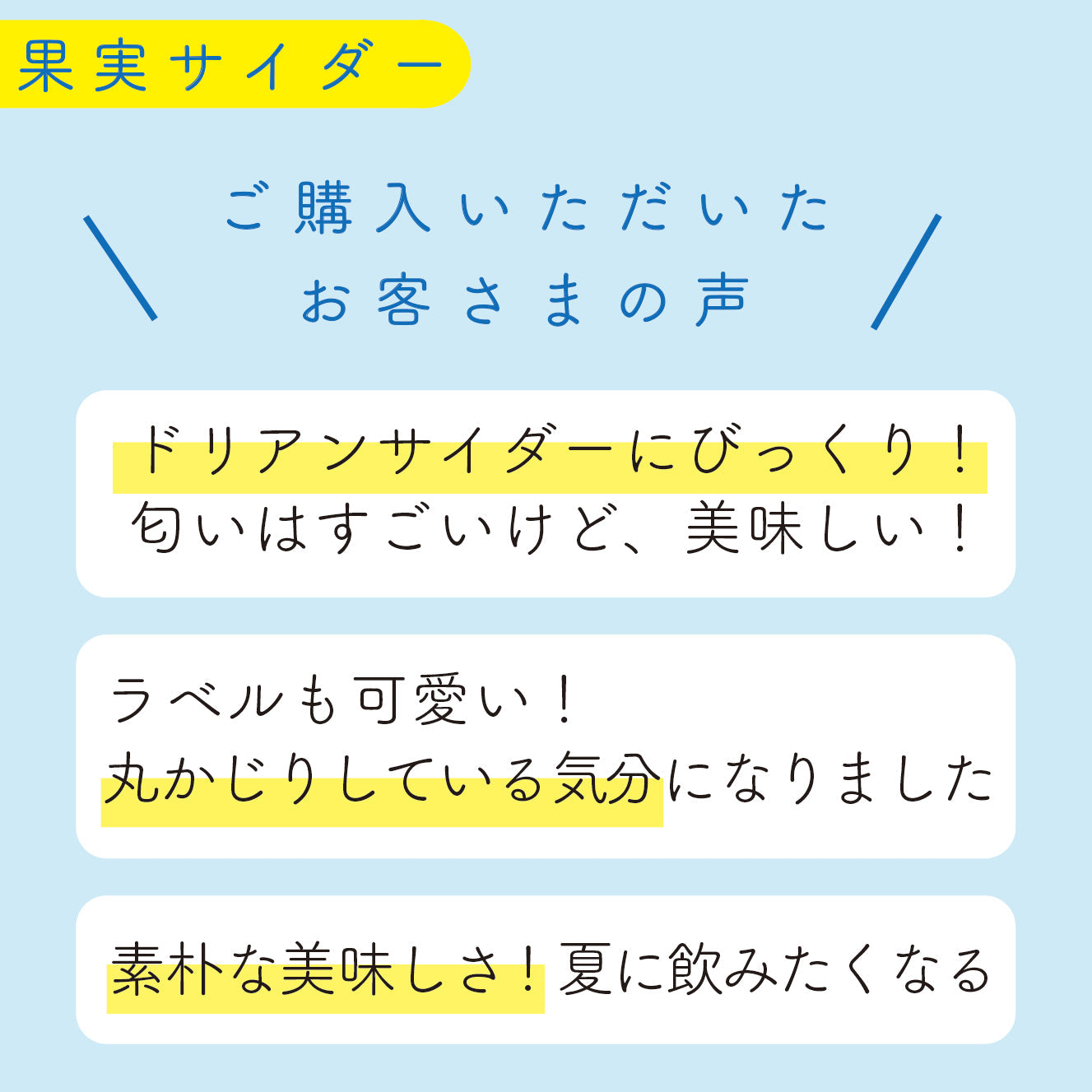 果実サイダーアソート セット300ml×16本(ギフト箱付き)! 見た目もごろっと美味しそうな果実サイダーの詰め合わせセット