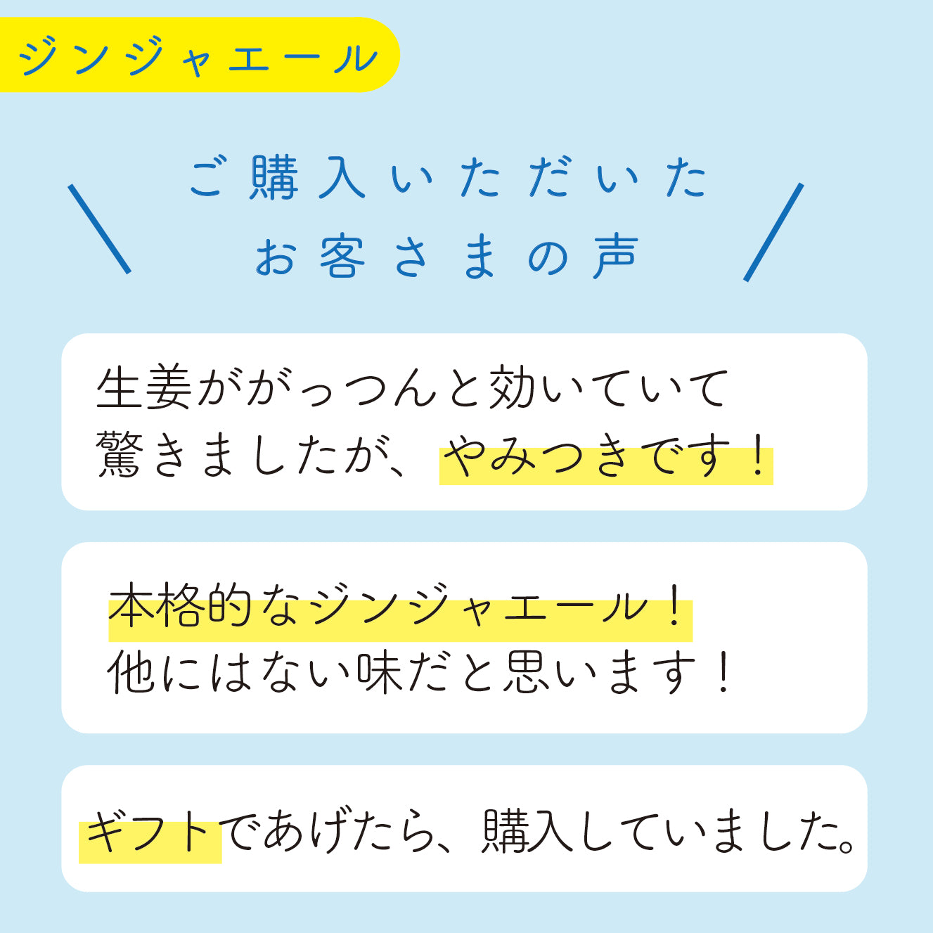 n.e.o プロフェッショナルジンジャーエール 95ml×24本 スパイスと生姜を煮詰めたシロップを使用した本格派